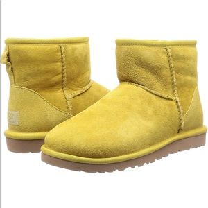 UGG Australia Women's Classic Mini Moss Boot